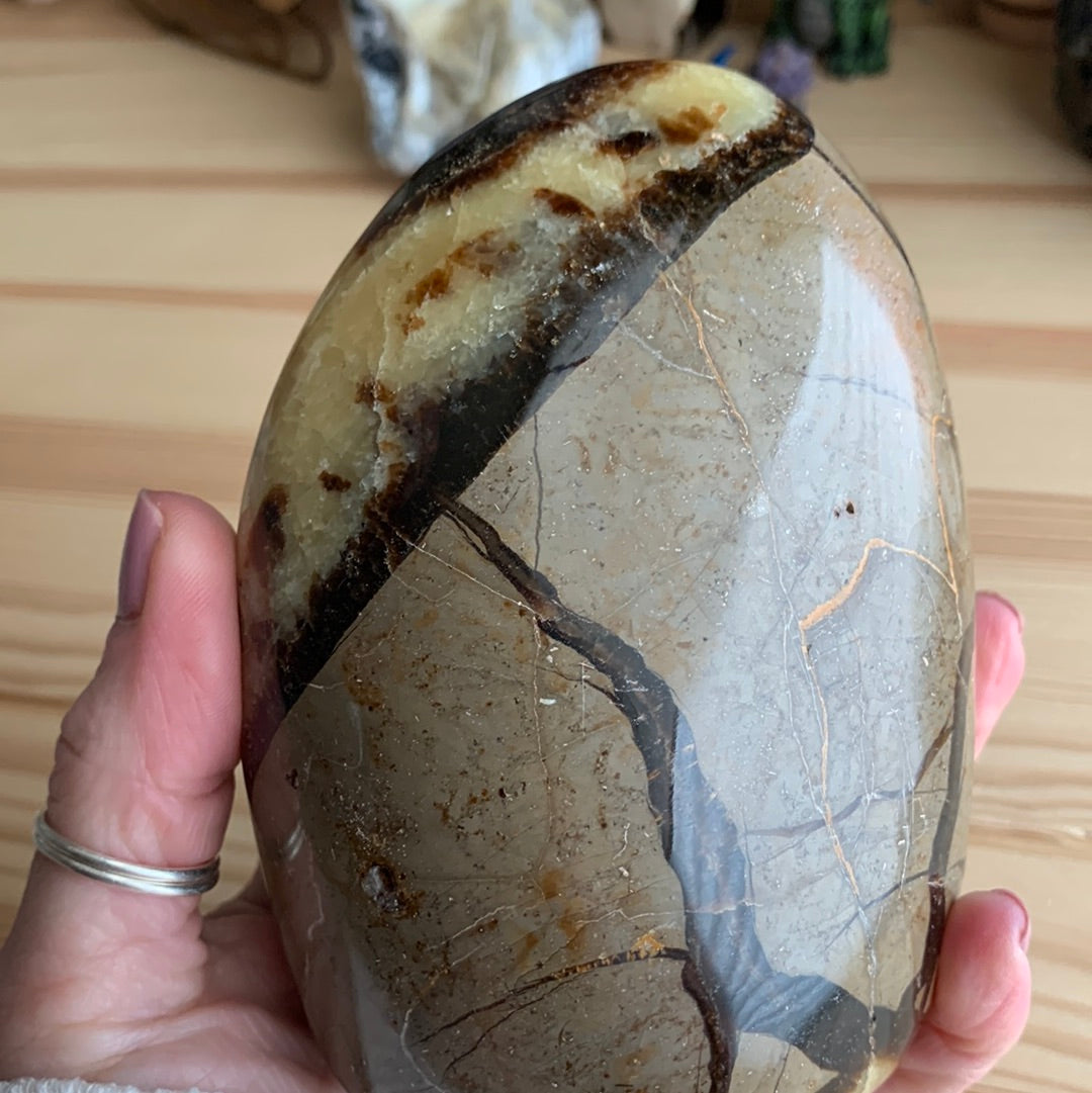 Septarian Agate Free Form