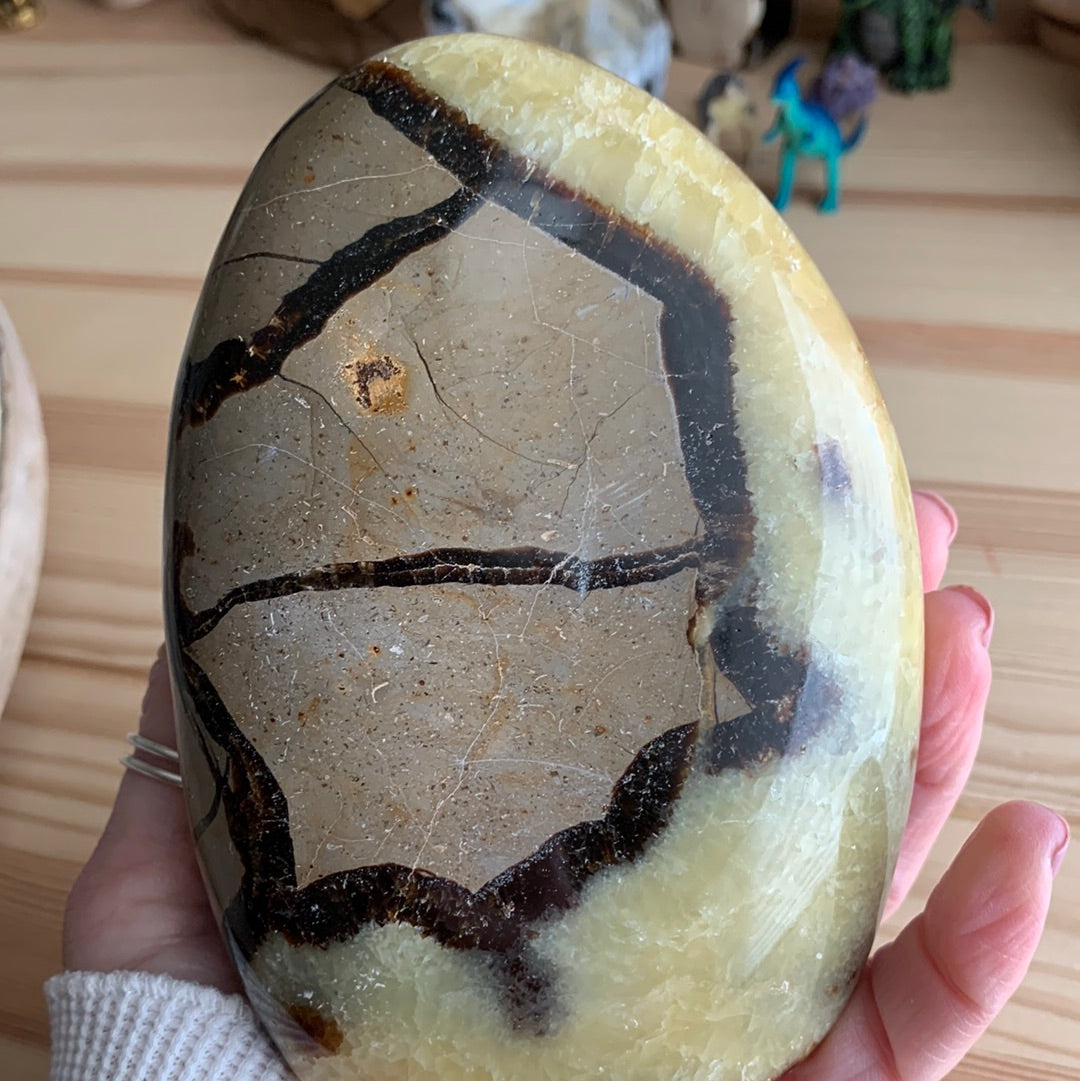 Septarian Agate Free Form